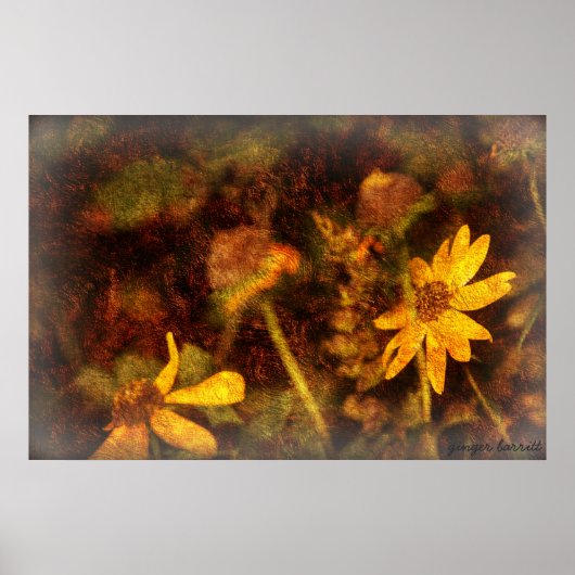 サラ ポスター (正面)