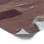 サラ ポスター (角)