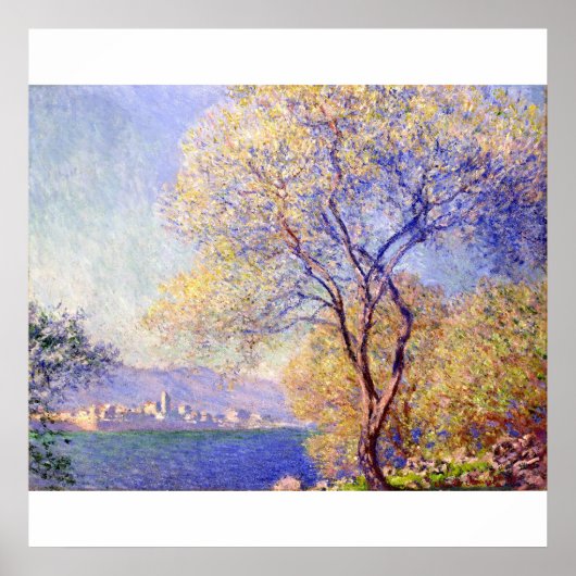 サリスガーデン（1888年）のポスターから見られる抗菌 ポスター (正面)