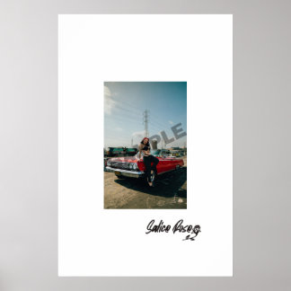 サリスバラxインパラポスター ポスター