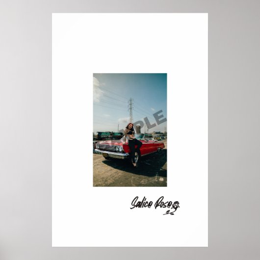 サリスバラxインパラポスター ポスター (正面)