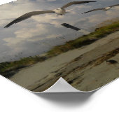 サリバン島(SC) ポスター (角)