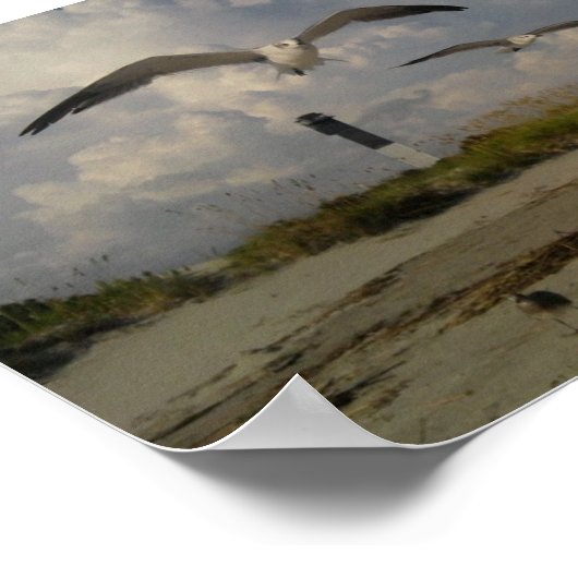 サリバン島(SC) ポスター (角)