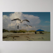 サリバン島(SC) ポスター (正面)