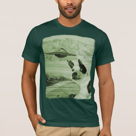 サリーがUFOを見る Tシャツ (正面)