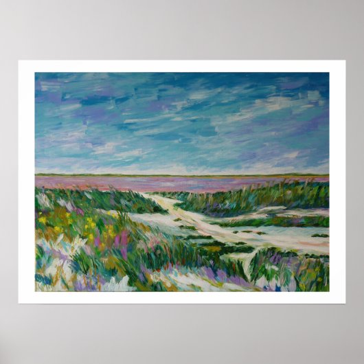 サリーヌ・デ・カマルグ ポスター (正面)