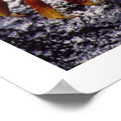 サリー光足カニ、満潮待ち ポスター (角)