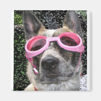 サリー磁石 マグネット