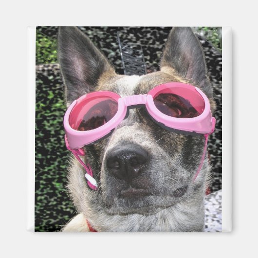 サリー磁石 マグネット (正面)