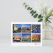 サリー2 ポストカード (スタンド正面)