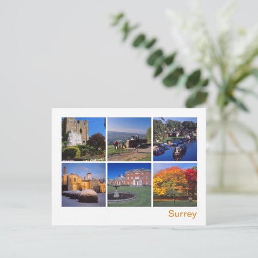 サリー2 ポストカード (スタンド正面)