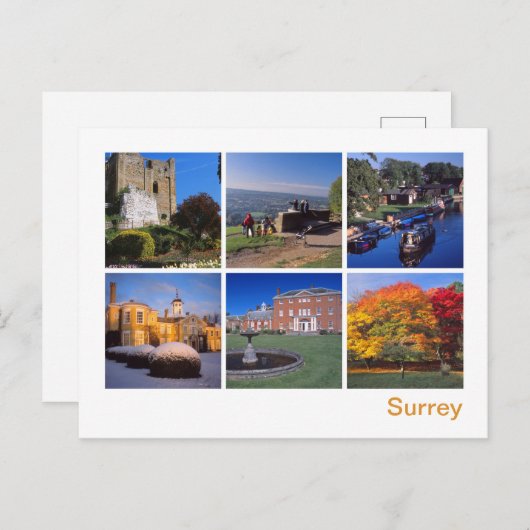 サリー2 ポストカード (正面/裏面)