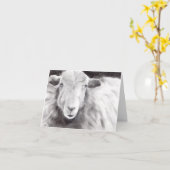 サリー・ザ・ヒツジ(a362) カード (黄色い花)