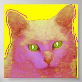 サリー ポスター (正面)