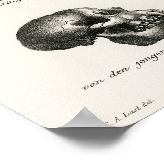 サルとサルのスカル ポスター (角)