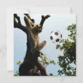 サルとボール、おもしろい誕生日パーティー 招待状 (裏面)