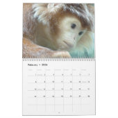 サルとApes 2016カレンダー カレンダー (2月 2026)