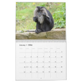 サルとApes 2016カレンダー カレンダー (1月 2026)