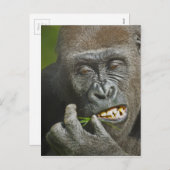 . .サルのゴリラ星占いの新年を迎える シーズンポストカード (正面/裏面)