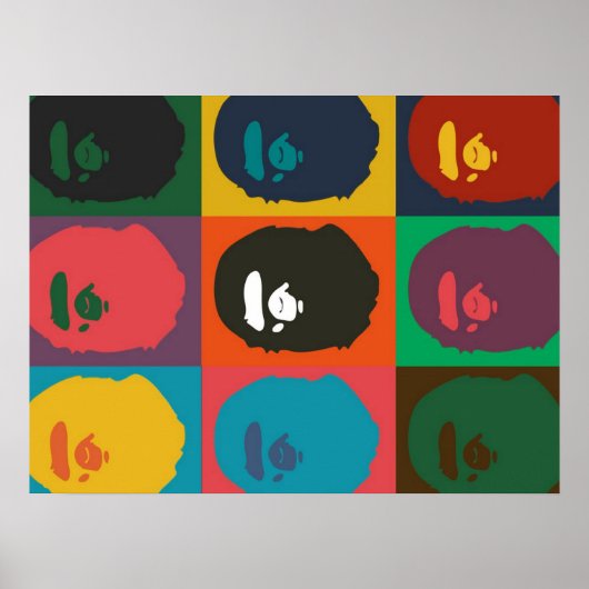 サルのサルの催眠動物 ポスター (正面)