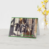 サルのバーの挨拶状 カード (黄色い花)