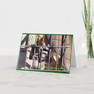 サルのバーの挨拶状 カード