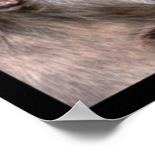 サルのモザイク写真 ポスター (角)