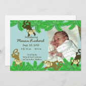 サルの写真の誕生のお知らせ 案内状 (正面/裏面)