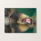 サルの写真最高の野生動物の写真 ジグソーパズル (横)