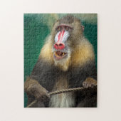 サルの写真最高の野生動物の写真 ジグソーパズル (縦)