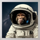サルの宇宙 ポスター (正面)