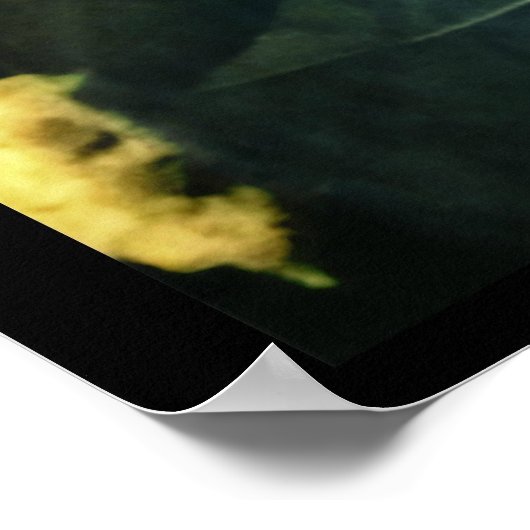 サルの愛のために ポスター (角)