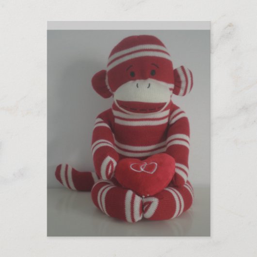 サルの愛 ポストカード (正面)