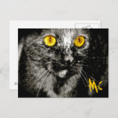 サルの猫はがき ポストカード (正面/裏面)