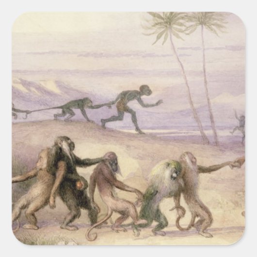 サルの行儀とカスタム スクエアシール (正面)