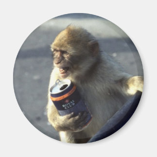 サルの飲み物 マグネット