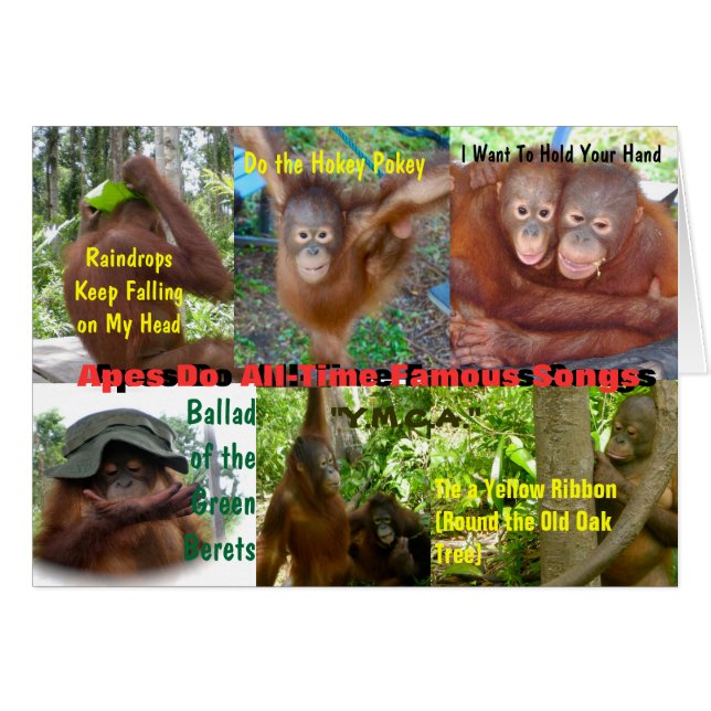 サルは記録的で有名な歌をします (正面横)