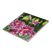 サルガザユリ タイル (側面)