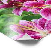 サルガザユリ フォトプリント            (角)