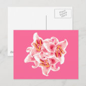 サルガザユリ ポストカード (正面/裏面)