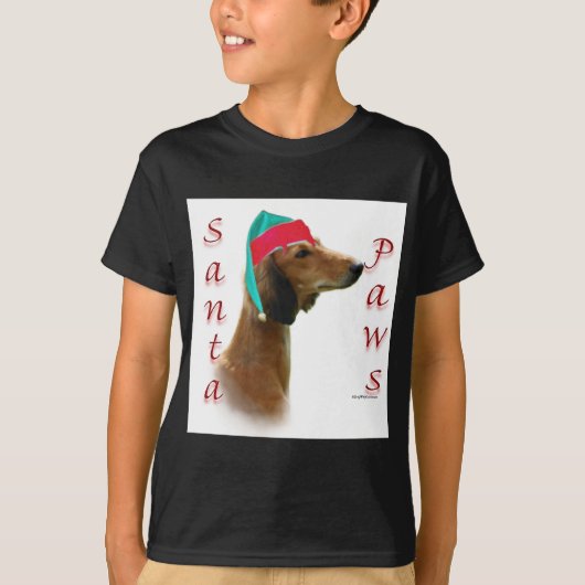 サルキサンタポーズ Tシャツ (正面)