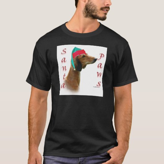 サルキサンタポーズ Tシャツ (正面)