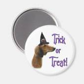 サルキトリック マグネット (正面/裏面)