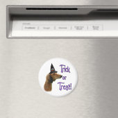 サルキトリック マグネット (インサイチュ (食洗機))