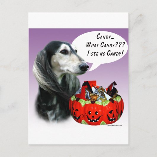 サルキハロウィーンキャンディ ポストカード (正面)
