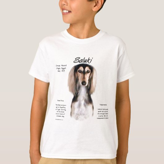 サルキヒストリーデザイン Tシャツ (正面)