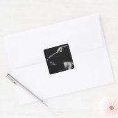 サルキポートレート スクエアシール (封筒)