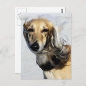 サルキポートレート ポストカード (正面/裏面)