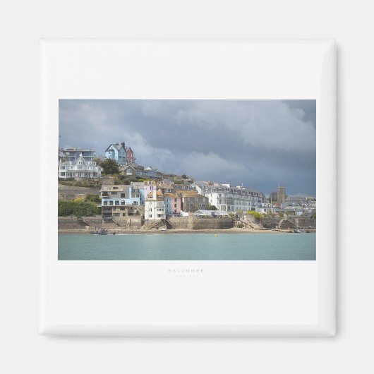 サルコム マグネット (正面)