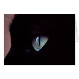 サルサによってすごい禅